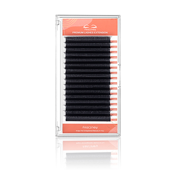 CAMELLIA W LASH-4D