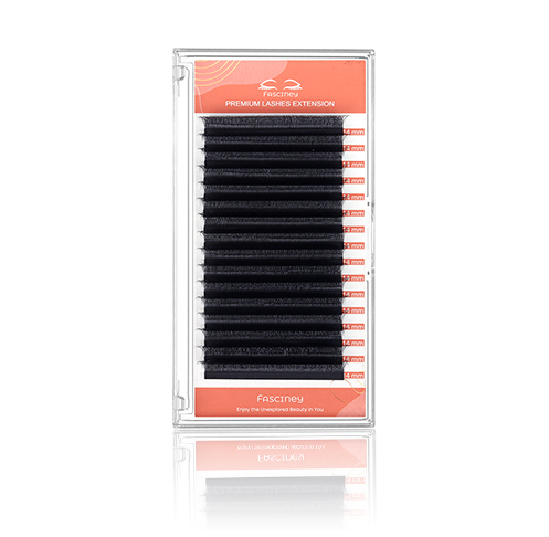 CAMELLIA W LASH-4D